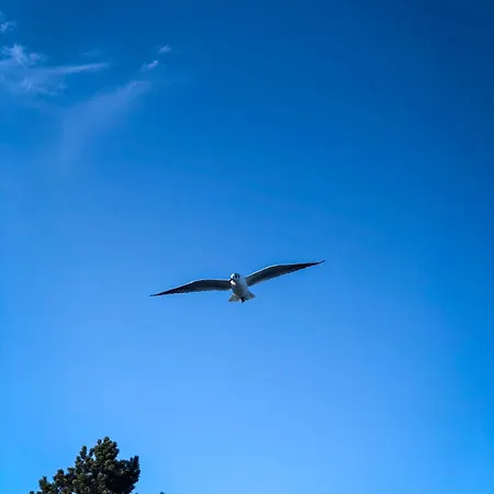 Winter Διαμέρισμα *