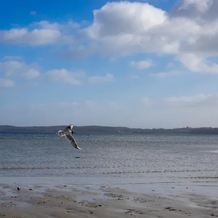 Διαμέρισμα Winter