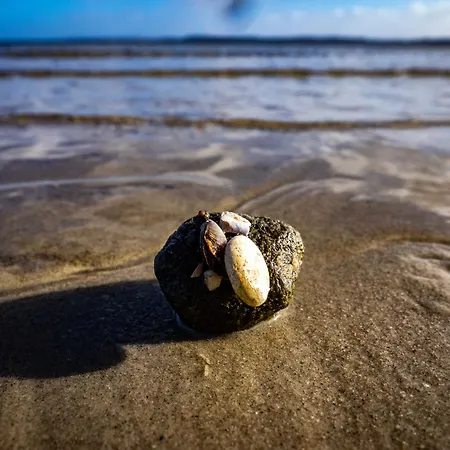 Winter Διαμέρισμα *