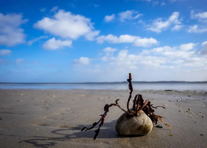 Winter Apartment Kobbelluck